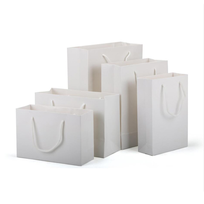 Paper shopping bag for hearing centers SP05026